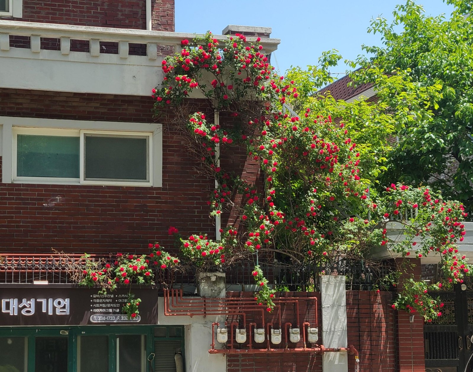 Korean wolse system apartment building